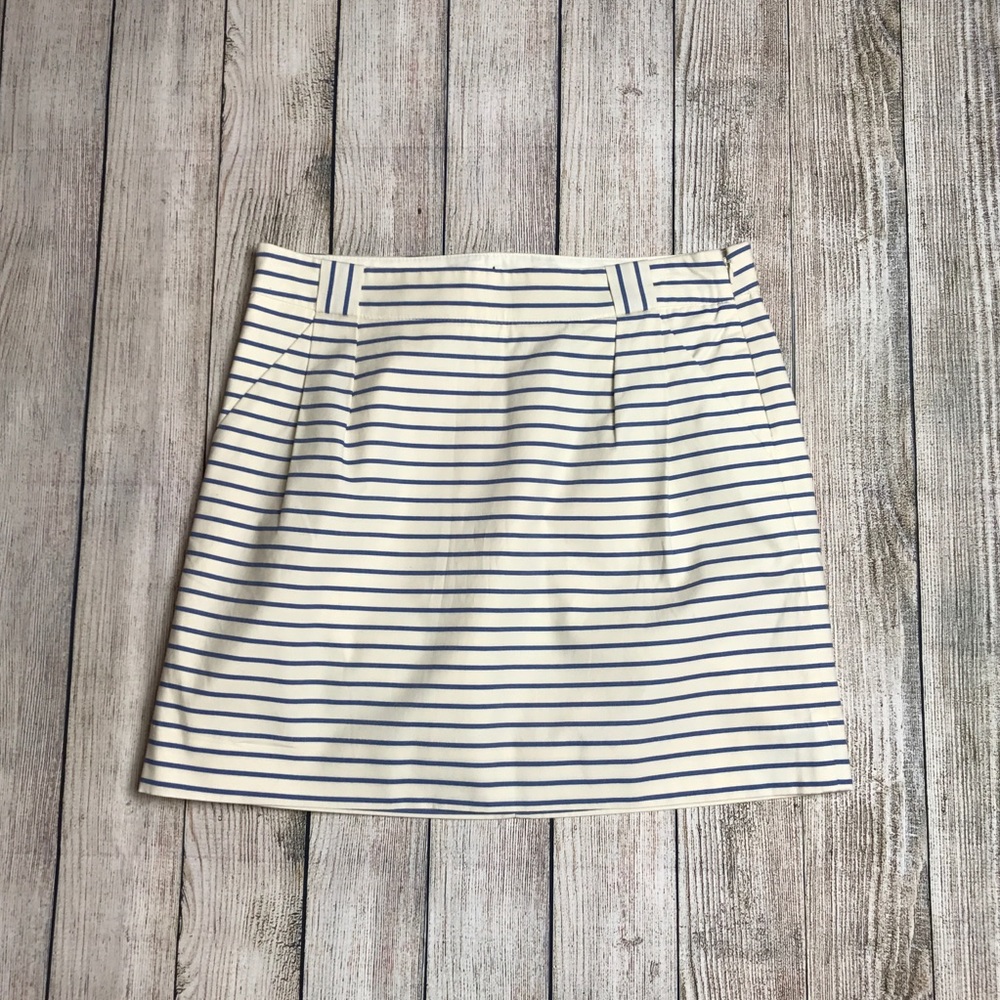 The Limited Skirt - Picture 1 of 7